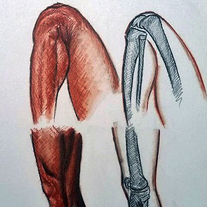 Anatomia 3